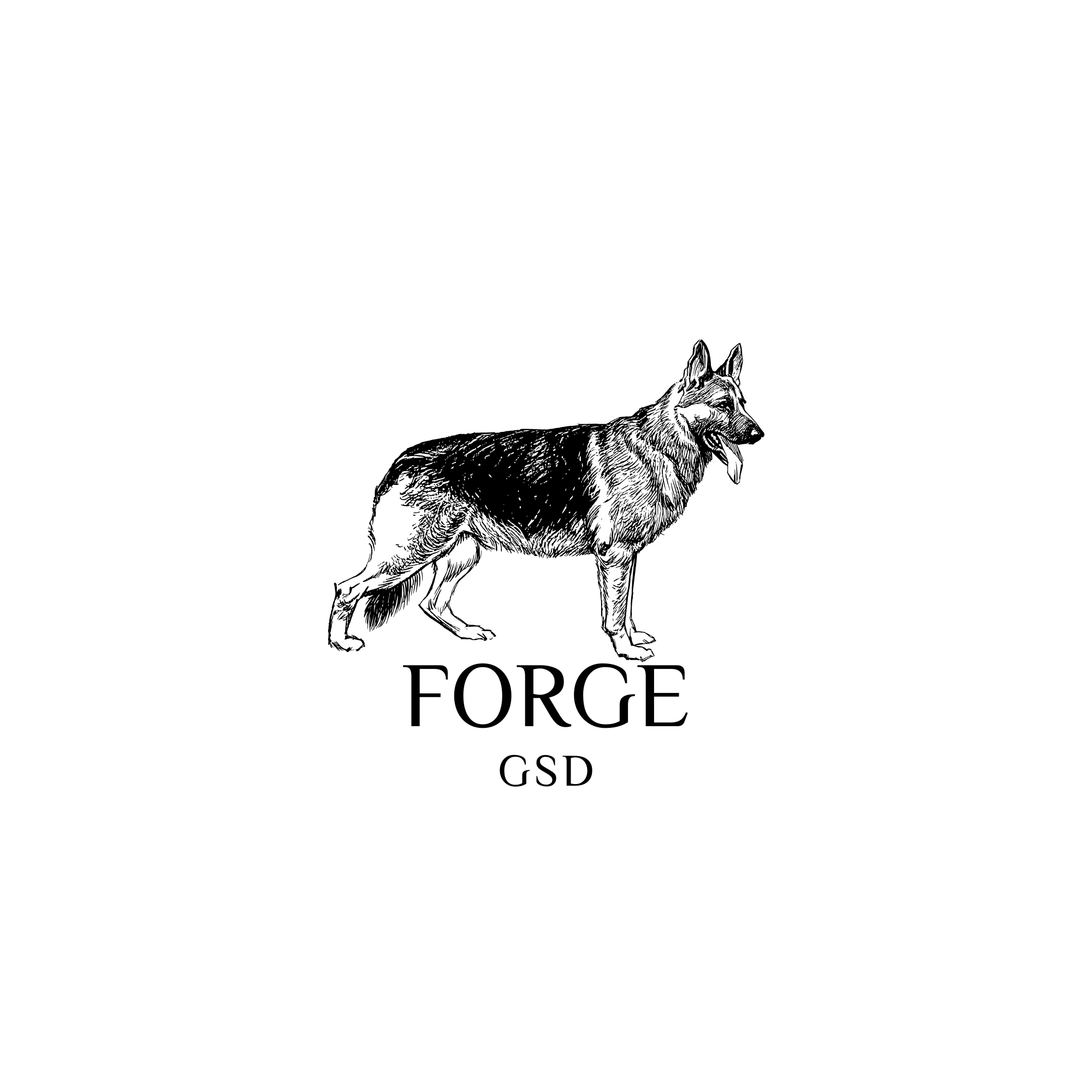 FORGE GSD 